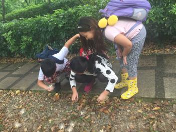 11�� 1��(ȭ) ��ü�� ��ȭ �ְ�-�Ĺ��� ÷���̹���