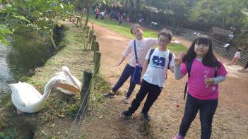 11.27. ����ü���н� ÷���̹���